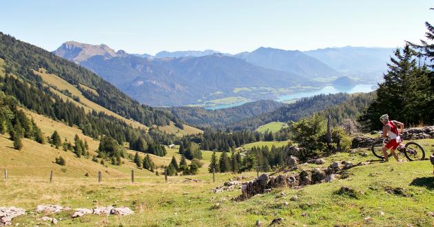 Hotel Gasthof zur Post Challenge Mountain Bike Natur